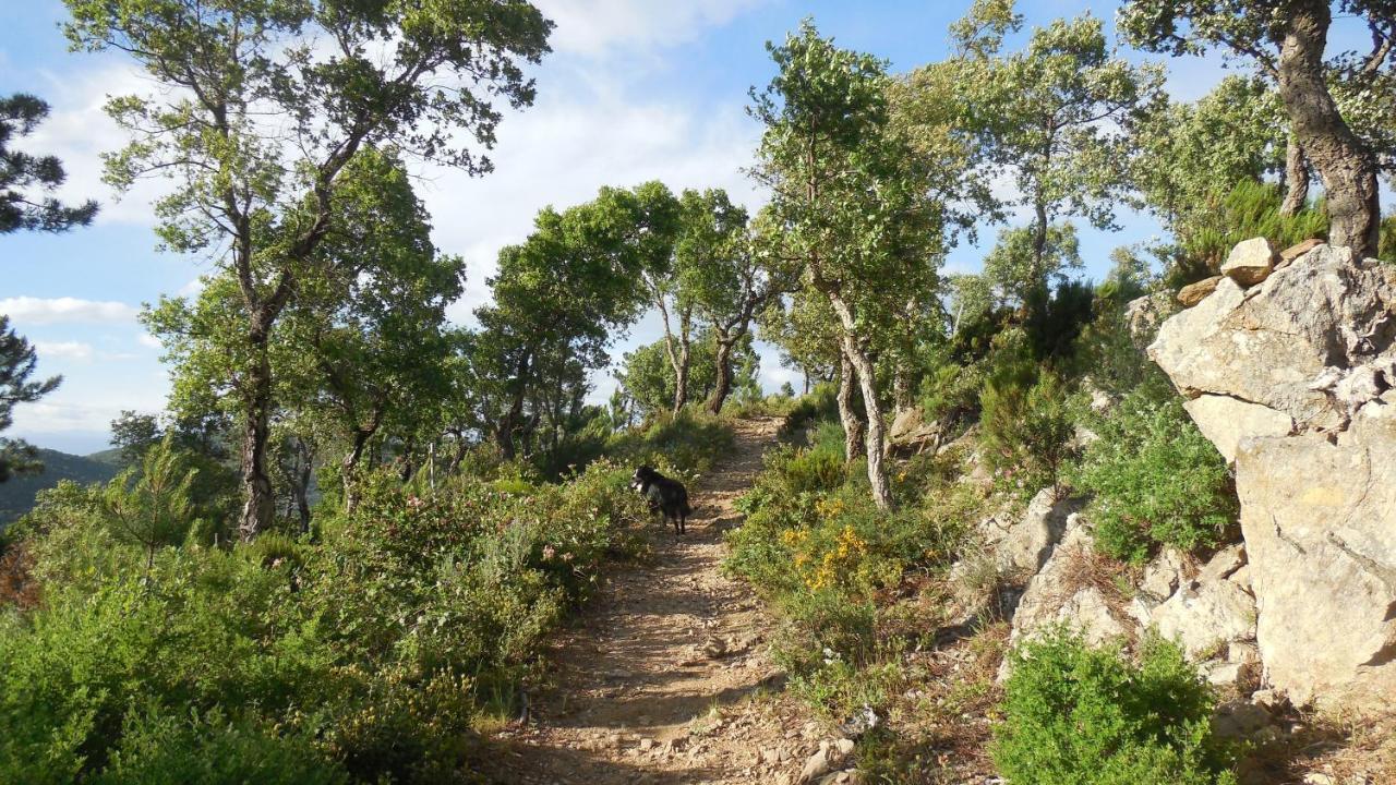 La Bergerie Villa La Garde-Freinet Dış mekan fotoğraf