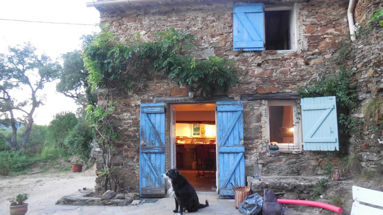 La Bergerie Villa La Garde-Freinet Dış mekan fotoğraf